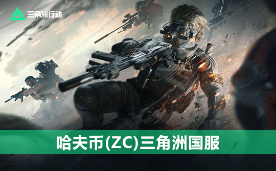 1亿哈夫币(包赔)三角洲国服ZC